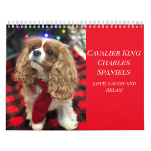 Love, Laugh & Relax Cavalier King Charles Spaniels Kalender