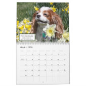Love, Laugh & Relax Cavalier King Charles Spaniels Kalender (Mar 2026)