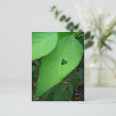 love leaf Briefkaart (Staand voorkant)