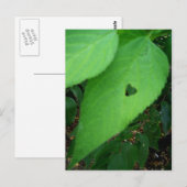 love leaf Briefkaart (Voorkant / Achterkant)