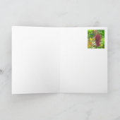 "LOVE LIES BLEEDING" (AMARANTHUS CAUDATUS) PLANT KAART (Binnen)