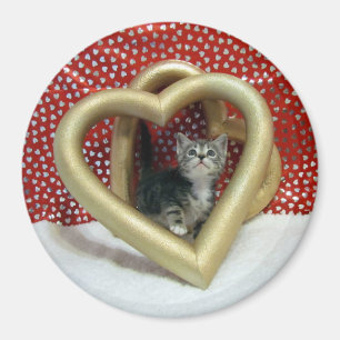 Love, Lilo - Heart Cat / Kitten Magnet