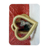 Love, Lilo - Heart Cat / Kitten Magnet Magneet (Verticaal)