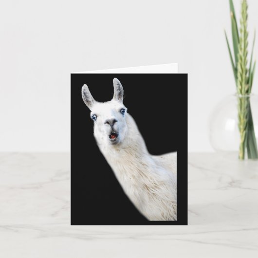 Love Llama Women Shirt Llama Lovers For Kids And G Kaart (Voorkant)