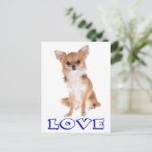 Love Long Hair Chihuahua Puppy Dog Post Card Briefkaart (Staand voorkant)