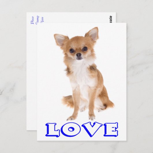 Love Long Hair Chihuahua Puppy Dog Post Card Briefkaart (Voorkant / Achterkant)