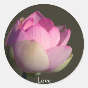 Love Lotus Ronde Sticker