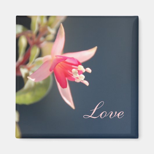 Love Magnet (Voorkant)
