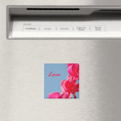 Love Magnet (Insitu (Vaatwasser))
