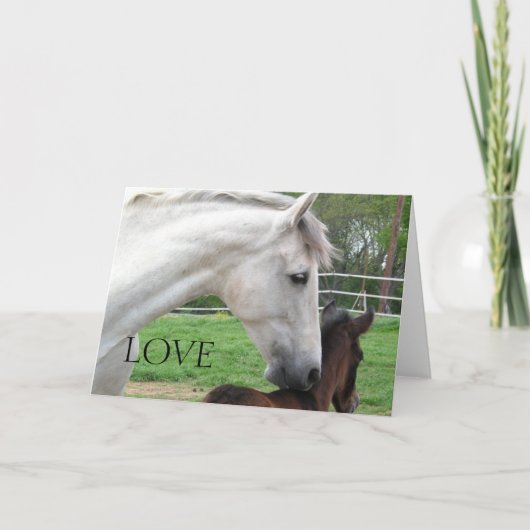 LOVE MARE EN VEULEN KAART (Voorkant)