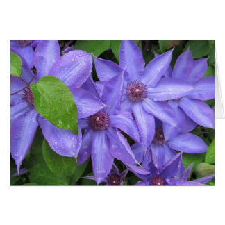 Love Me Blue - TBD-serie