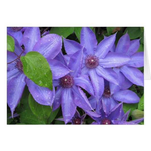 Love Me Blue - TBD-serie (Voorkant Horizontaal)