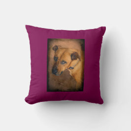 Love Me Do Sierkussen