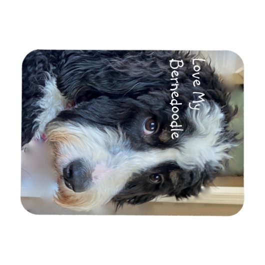 Love My Bernedole Magneet (Horizontaal)