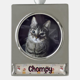 Love my cats verzilverd banner ornament