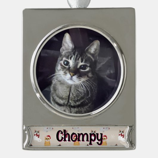 Love my cats verzilverd banner ornament (Voorkant)