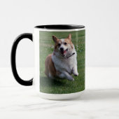 Love My Corgi Mok (Links)