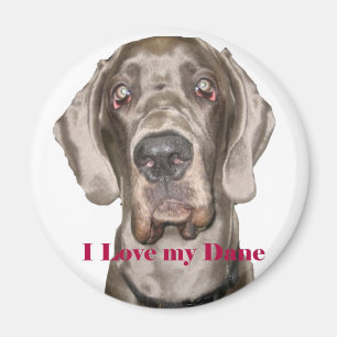 Love My Dane Magneet