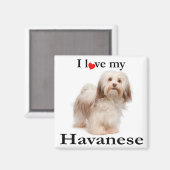 Love My Havanese Magnet (Voorkant / Achterkant)