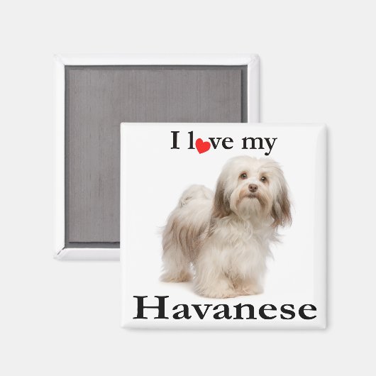 Love My Havanese Magnet (Voorkant / Achterkant)