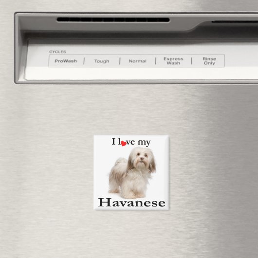 Love My Havanese Magnet (Insitu (Vaatwasser))