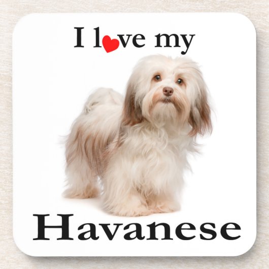 Love My Havanese Onderzetter Set (Voorkant)