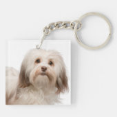 Love My Havanese Sleutelhanger (Achterkant)