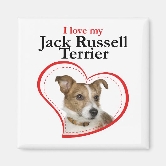 Love My Jack Russell Terrier Magnet (Voorkant)