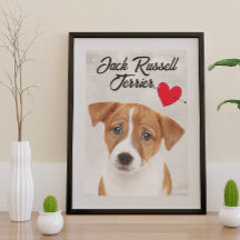 Love My Jack Russell Terrier