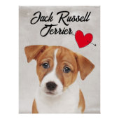 Love My Jack Russell Terrier Perfect Poster (Voorkant)