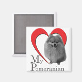 Love My Pomeranian Magneet (Voorkant / Achterkant)