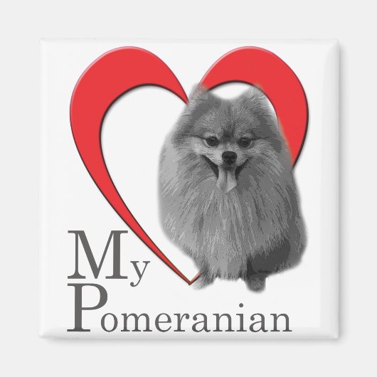 Love My Pomeranian Magneet (Voorkant)