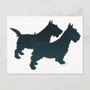Love My Scotties Silhouet Briefkaart