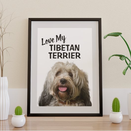 Love My Tibetan Terrier Portret Perfect Poster