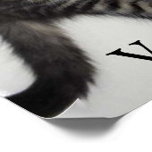 Love My Veterinarian Kat Poster (Hoek)