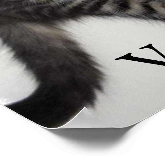 Love My Veterinarian Kat Poster (Hoek)