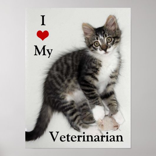 Love My Veterinarian Kat Poster (Voorkant)