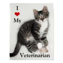 Love My Veterinarian Kat Poster