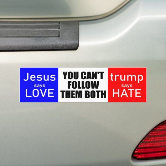 Love not Hate 2020 Bumpersticker (Op auto)
