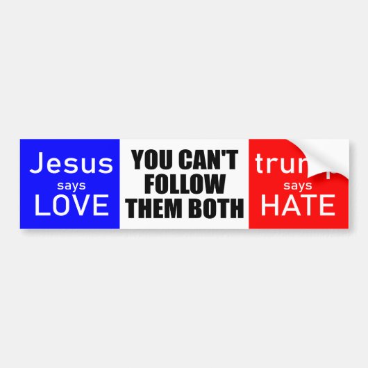 Love not Hate 2020 Bumpersticker (Voorkant)