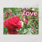 Love Note Rozen Briefkaart (Voorkant)