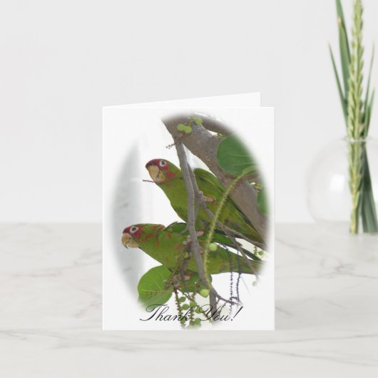 Love Parrots Bedankkaart (Voorkant)