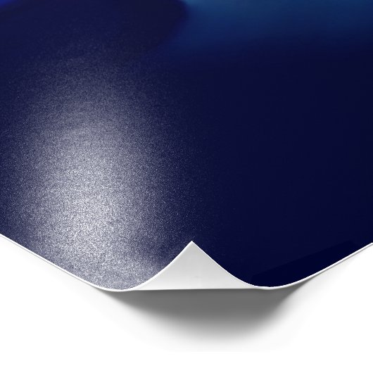 Love, Passion act - pair with Dolphin pair Foto Afdruk (Hoek)