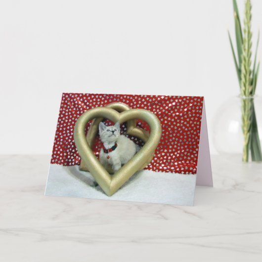 Love Phoenix - Kaart van Cat Valentijns (Voorkant)