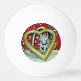 Love, Phoenix Kitten / cat Ping Pong Ball