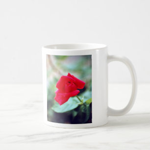Love Poem and Red Rose Bud Koffiemok