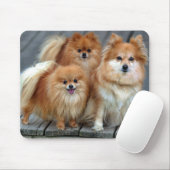 Love Pomeranian Puppy Dog Mousepad Muismat (Met muis)