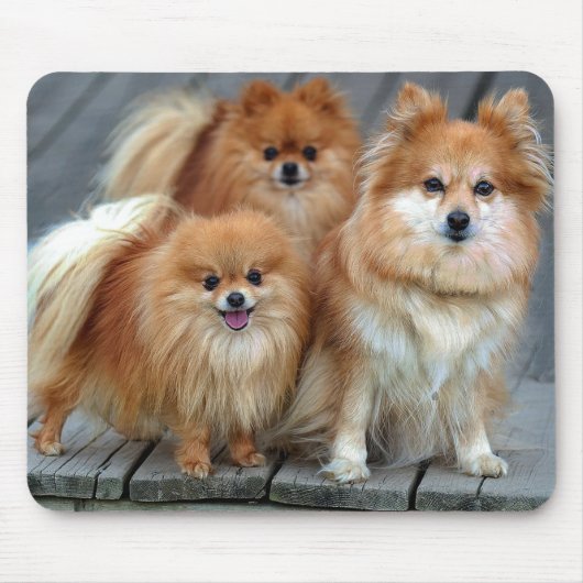 Love Pomeranian Puppy Dog Mousepad Muismat (Voorkant)