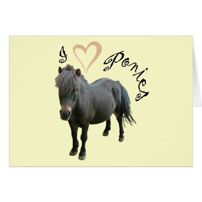 Love Ponies (Voorkant Horizontaal)