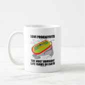 Love Prokaryotes most Dominant Life Forms on Earth Koffiemok (Links)